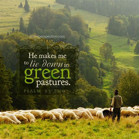 biblical definition of pastures